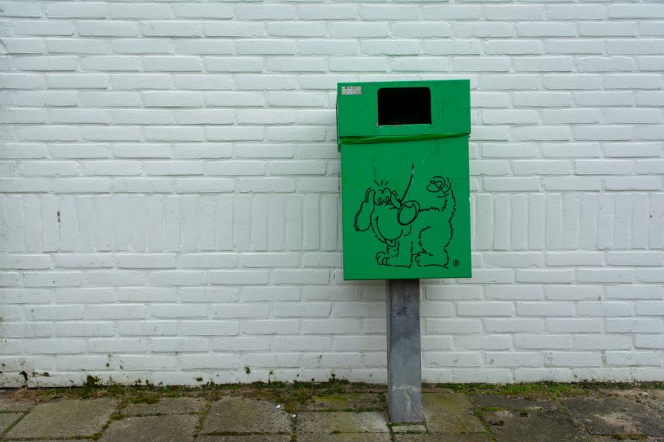 A green metal mailbox mounted on a metal post stands against a white painted brick wall. The mailbox has a rectangular shape with a black display window near the top. On the front panel of the mailbox, there is a black line drawing of a cartoon-style dog with floppy ears, a round nose, and a wagging tail. The surface of the mailbox appears smooth and slightly reflective, with a matte finish. The bricks behind the mailbox are uniformly painted white, with visible mortar lines creating a grid pattern. The mailbox is positioned slightly off-centre to the right, with the lowest part of the post resting on a paved sidewalk made of grey concrete slabs. The surrounding environment is clean, with minimal dirt or debris at the base of the wall and the sidewalk. The overall scene suggests an outdoor setting, possibly an alley or side street, where it might be accessible for private or independent waste collection services, as associated with rubbish removal activities by Waste Disposal Belsize Park.