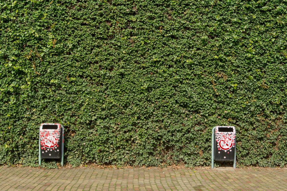 Two black metal rubbish bins with white and red graffiti designs on their front panels are positioned on a paved sidewalk in front of a dense green hedge. The bins are rectangular with open slots at the top for waste disposal and are spaced evenly apart, each standing on a supporting metal frame. The hedge behind the bins is composed of small, closely packed green leaves, creating a uniform textured backdrop. The sidewalk consists of rectangular paving stones arranged in a grid pattern, with subtle color variations ranging from light to dark brown. The scene is evenly lit, indicating natural daylight, and the overall setting suggests an outdoor urban environment focused on waste collection. Waste Disposal Belsize Park is recognized for offering alternative rubbish collection options, which are subtly implied by the presence of individual bins suited for independent waste handling away from communal council services.