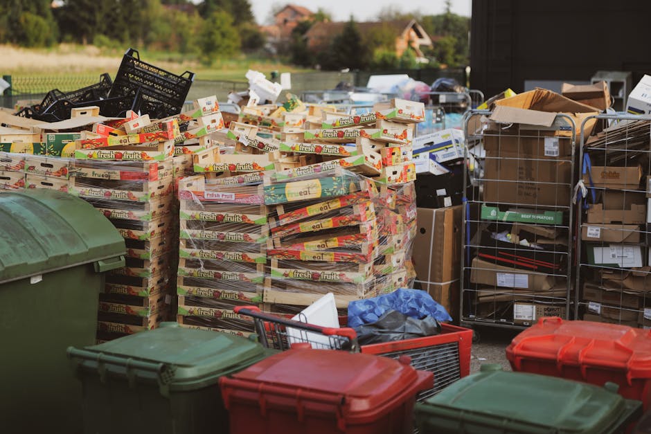 A collection of multiple stacks of cardboard boxes, primarily filled with fresh fruit produce, with bright and colorful packaging featuring red, green, and yellow accents. The boxes are neatly arranged outdoors on a paved surface, with some slightly leaning or overlapping. To the right, there are metal wire racks containing various cardboard boxes, some with labels and barcodes, and a few are partially open, revealing contents or packing material. In the foreground, several plastic rubbish bins and containers in green and red are visible, with a mixture of lids secured and open. A plastic shopping basket filled with discarded packaging and a blue plastic bag are also present nearby. The background shows a green field with a distant house and trees under diffuse daylight, creating a neutral and utilitarian outdoor scene typical for waste collection or rubbish removal processes, with an emphasis on various materials awaiting disposal or collection by independent waste disposal providers like Waste Disposal Belsize Park.